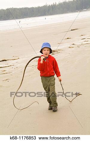 seven year old boy plays on beach near Tofino, West Coast, Vancouver Island, British Columbia, Canada View Large Photo Image Stock Image - seven year old boy plays on beach near Tofino, West Coast, Vancouver Island, British Columbia, Canada. Fotosearch