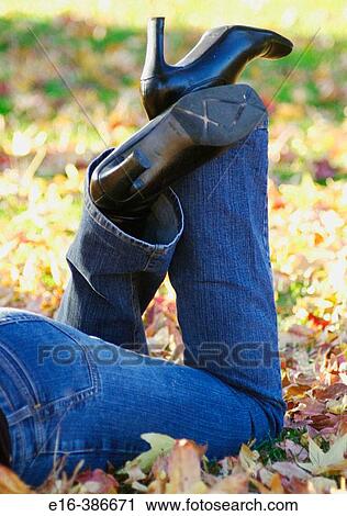 sexy legs in leaves View Large Photo Image Stock Image - sexy legs in leaves. Fotosearch