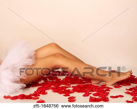Sexy long legs View Large Photo Image Stock Photograph - Sexy long legs. Fotosearch