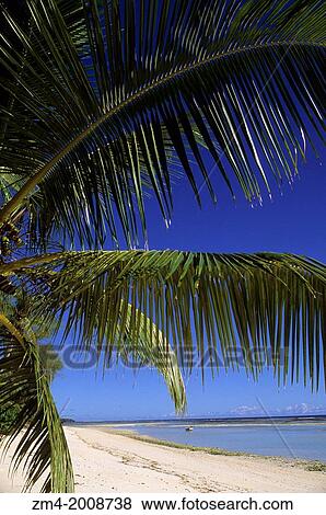 SEYCHELLES, ALDABRA ISLAND, BEACH. View Large Photo Image Stock Photo - SEYCHELLES, ALDABRA ISLAND, BEACH.. Fotosearch