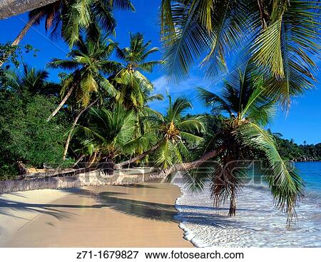 Stock Photo - Seychelles Mahe beach. Fotosearch