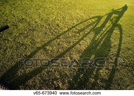 Shadow of bicycle on green grass lawn View Large Photo Image Stock Image - Shadow of bicycle on green grass lawn. Fotosearch