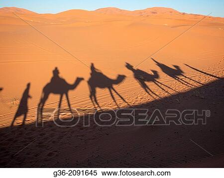 Shadow of riders and camels through sahara desert in Erg Chebi, Morrocco. View Large Photo Image Stock Photography - Shadow of riders and camels through sahara desert in Erg Chebi, Morrocco.. Fotosearch