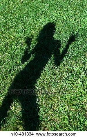 Shadow on the grass at a park of a young woman dancing View Large Photo Image Picture - Shadow on the grass at a park of a young woman dancing. Fotosearch