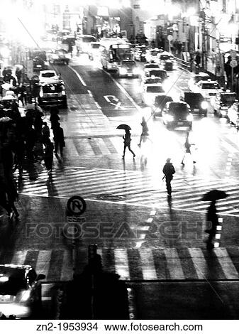 Shadows and Lights at Shibuya Crossroad, Tokyo, Japan. View Large Photo Image Picture - Shadows and Lights at Shibuya Crossroad, Tokyo, Japan.. Fotosearch