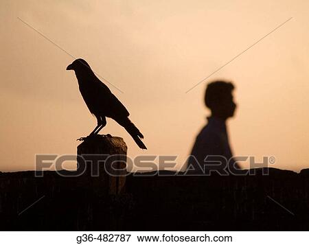 Shadows and silhouettes of people in Sri Lanka View Large Photo Image Stock Photo - Shadows and silhouettes of people in Sri Lanka. Fotosearch