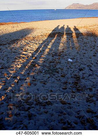 Shadows on the beach View Large Photo Image Stock Image - Shadows on the beach. Fotosearch