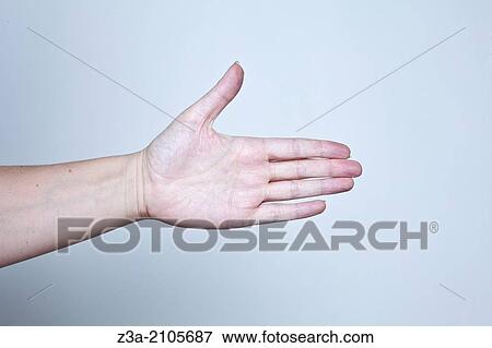 Shaking Hand, Hand Gesture, Studio shot View Large Photo Image Stock Photo - Shaking Hand, Hand Gesture, Studio shot. Fotosearch