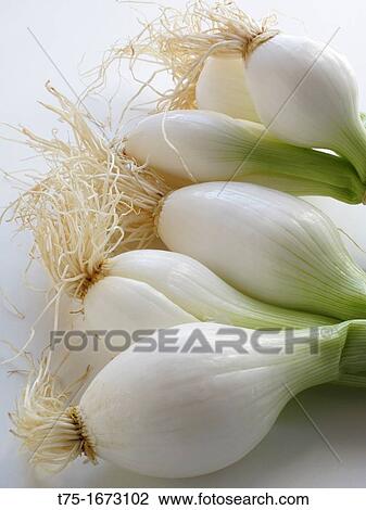 Shallots View Large Photo Image Stock Image - Shallots. Fotosearch