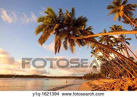 Shangri-la Fijian Resort and Spa, Coral Coast, Viti Levu, Fiji View Large Photo Image Picture - Shangri-la Fijian Resort and Spa, Coral Coast, Viti Levu, Fiji. Fotosearch