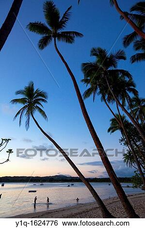 Shangri-la Fijian Resort and Spa, Coral Coast, Viti Levu, Fiji, View Large Photo Image Stock Photograph - Shangri-la Fijian Resort and Spa, Coral Coast, Viti Levu, Fiji,. Fotosearch