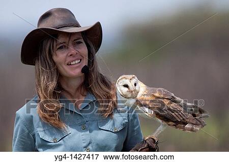 Shannon Hoffman showing a barn owl during her flight display show The shows are aimed at educating children and adults and have a strong conservation message October 2010 African Bird of Prey Sanctuary Kwazulu-Natal, South Africa View Large Photo Image Stock Photo - Shannon Hoffman showing a barn owl during her flight display show The shows are aimed at educating children and adults and have a strong conservation message October 2010 African Bird of Prey Sanctuary Kwazulu-Natal, South Africa. Fotosearch