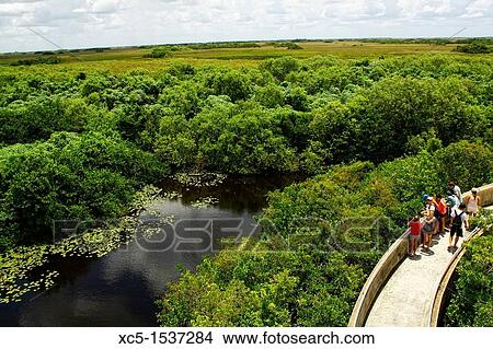 Shark Valley, Everglades Park, Florida, United States View Large Photo Image Picture - Shark Valley, Everglades Park, Florida, United States. Fotosearch