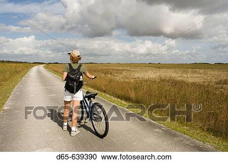 Shark Valley Visitor Area. Park Bicyclist. The Everglades. Florida. USA. View Large Photo Image Stock Image - Shark Valley Visitor Area. Park Bicyclist. The Everglades. Florida. USA.. Fotosearch