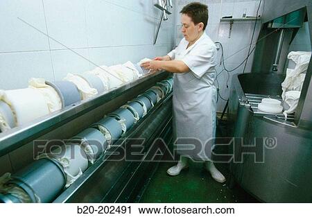 Sheep cheese production. Legazpi. Guipzcoa. Spain View Large Photo Image Stock Image - Sheep cheese production. Legazpi. Guipzcoa. Spain. Fotosearch