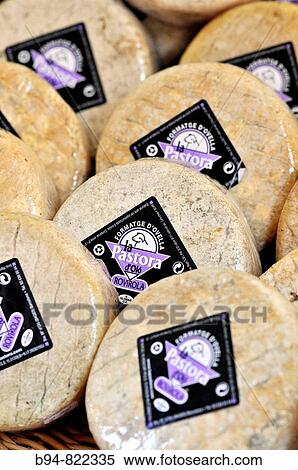 Sheep cheeses in market. Barcelona, Catalonia, Spain View Large Photo Image Stock Photography - Sheep cheeses in market. Barcelona, Catalonia, Spain. Fotosearch
