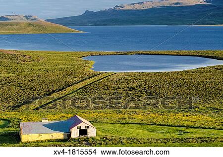 Sheep farm Iceland north View Large Photo Image Picture - Sheep farm Iceland north. Fotosearch
