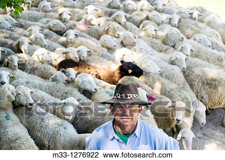 Sheep shepherd in Casasana, Alcarria, Guadalajara province, Castilla-La Mancha, Spain View Large Photo Image Stock Image - Sheep shepherd in Casasana, Alcarria, Guadalajara province, Castilla-La Mancha, Spain. Fotosearch