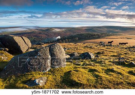 Sheeps Tor in the Dartmoor National Park, Devon, England, UK, Europe View Large Photo Image Stock Image - Sheeps Tor in the Dartmoor National Park, Devon, England, UK, Europe. Fotosearch