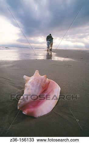 Stock Image - Shell and couple at the beach. Fotosearch