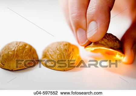 Shell game View Large Photo Image Stock Image - Shell game. Fotosearch