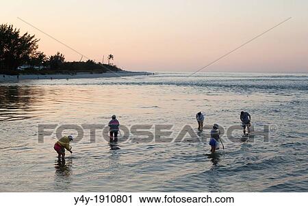 Stock Image - Shell seekers at Sanibel Island, Florida, USA. Fotosearch