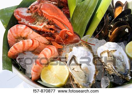Stock Photo - Shellfish Platter. Fotosearch