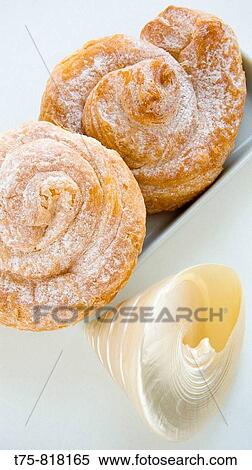 Shells. View Large Photo Image Stock Photography - Shells.. Fotosearch