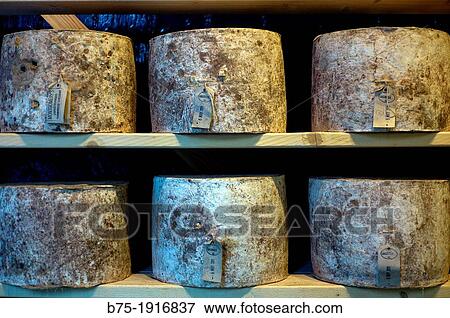 Shelves with Montgomery Cheddar cheese farm, Market in Borought, South Bank, London, England, UK View Large Photo Image Stock Photo - Shelves with Montgomery Cheddar cheese farm, Market in Borought, South Bank, London, England, UK. Fotosearch