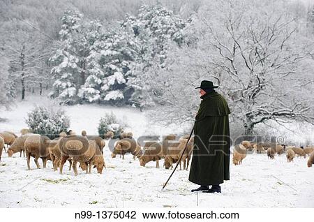 Stock Image - Sheperd with sheep herd in winter, Steigerwald, Bavaria, Germany. Fotosearch