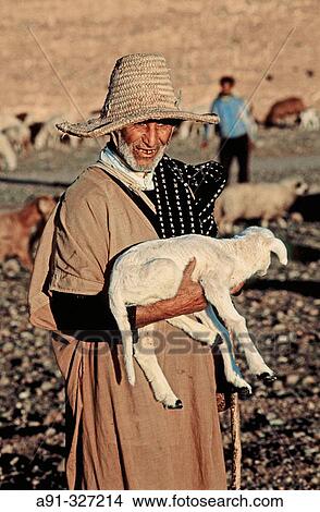 Shepherd and lamb. South, Ouarzazate region. Morocco. View Large Photo Image Picture - Shepherd and lamb. South, Ouarzazate region. Morocco.. Fotosearch