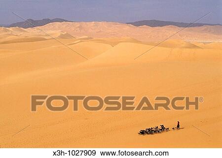 Stock Photo - shepherdess and herd in vastness of Arakao's dunes, A? r, Niger, Western Africa. Fotosearch