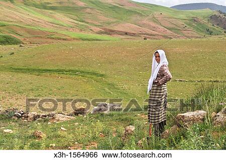 shepherdess in countryside around Ain Leuh, Khenifra region, Middle Atlas, Morocco, North Africa View Large Photo Image Stock Photograph - shepherdess in countryside around Ain Leuh, Khenifra region, Middle Atlas, Morocco, North Africa. Fotosearch