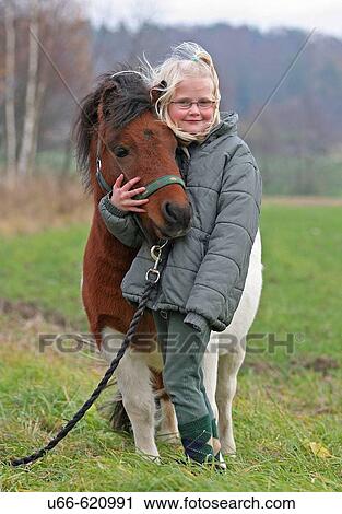 Shetland Pony View Large Photo Image Stock Image - Shetland Pony. Fotosearch