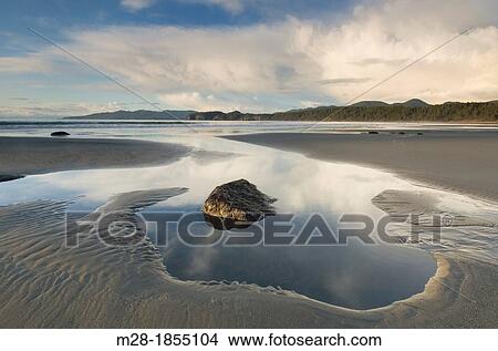 Picture - Shi Shi Beach at low tide, Olympic National Park Washington. Fotosearch