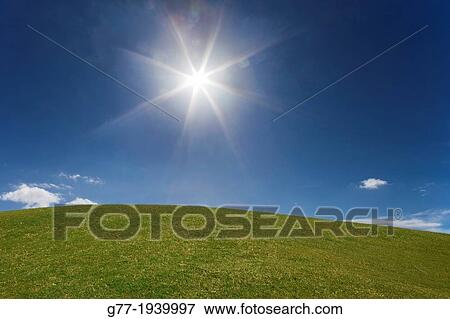 Shining sun in a blue sky over green grass View Large Photo Image Stock Photo - Shining sun in a blue sky over green grass. Fotosearch