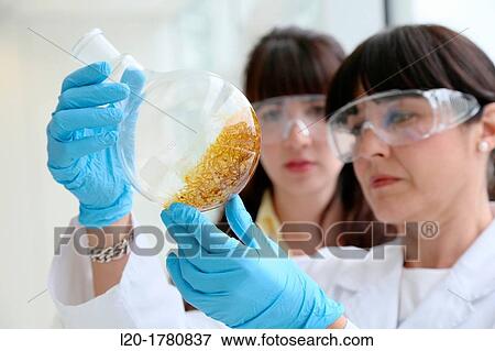 Stock Photo - Shinthesis Lab, Research Laboratory, R&D+i, Design and synthesis of new chemical entities with therapeutic applications in oncology, Ikerchem, Donostia, San Sebastian, Gipuzkoa, Basque Country, Spain. Fotosearch