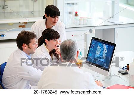 Stock Photography - Shinthesis Lab, Research Laboratory, R&D+i, Design and synthesis of new chemical entities with therapeutic applications in oncology, Ikerchem, Donostia, San Sebastian, Gipuzkoa, Basque Country, Spain. Fotosearch