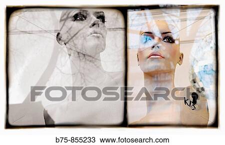 Shop window View Large Photo Image Stock Image - Shop window. Fotosearch