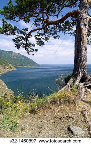 shore of Lake Baikal near the town of listvyanka, Siberia, Russia View Large Photo Image Stock Photo - shore of Lake Baikal near the town of listvyanka, Siberia, Russia. Fotosearch