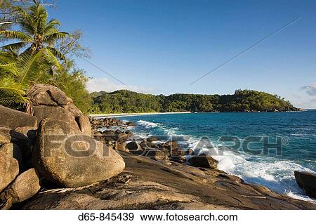 Shoreline, Anse Takamaka beach, Mahe island, Seychelles View Large Photo Image Stock Photo - Shoreline, Anse Takamaka beach, Mahe island, Seychelles. Fotosearch