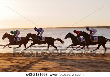 Stock Photo - Shortly before sunset at the famous horse races of Sanlcar de Barrameda which take place every year during August along a 1. 800m stretch of beach at the mouth of the River Guadalquivir.. Fotosearch