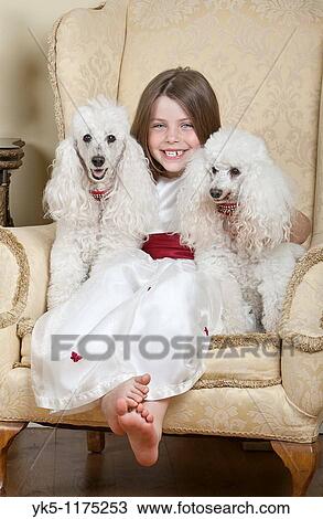 Shot of a Happy Blonde Girl in Large Armchair with Two White French Miniature Poodles View Large Photo Image Stock Image - Shot of a Happy Blonde Girl in Large Armchair with Two White French Miniature Poodles. Fotosearch