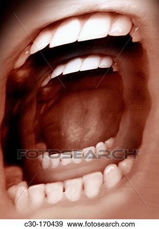 Stock Photo - Shouting and advertising. Fotosearch