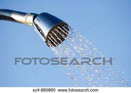 shower head flowing in sunlight View Large Photo Image Stock Image - shower head flowing in sunlight. Fotosearch