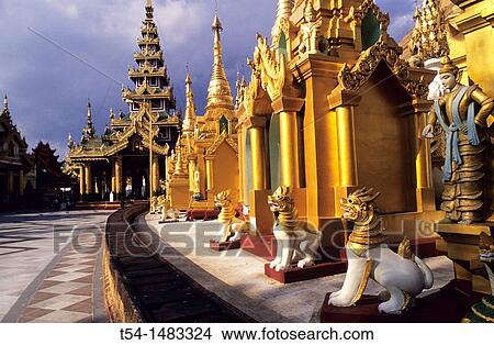 Shrines of the Shwedagon pagoda in the evening light. Yangon, Myanmar View Large Photo Image Picture - Shrines of the Shwedagon pagoda in the evening light. Yangon, Myanmar. Fotosearch