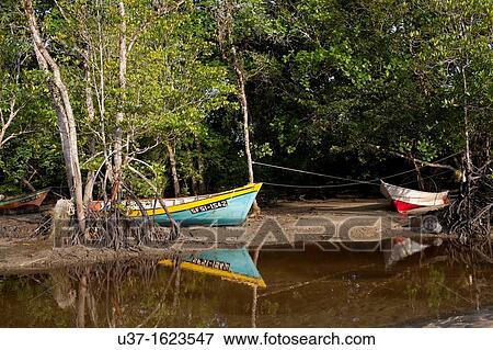Siar Beach, Lundu, Sarawak, Malaysia View Large Photo Image Stock Photo - Siar Beach, Lundu, Sarawak, Malaysia. Fotosearch