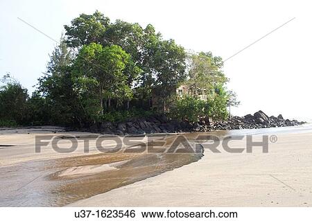 Siar Beach, Lundu, Sarawak, Malaysia View Large Photo Image Stock Photograph - Siar Beach, Lundu, Sarawak, Malaysia. Fotosearch