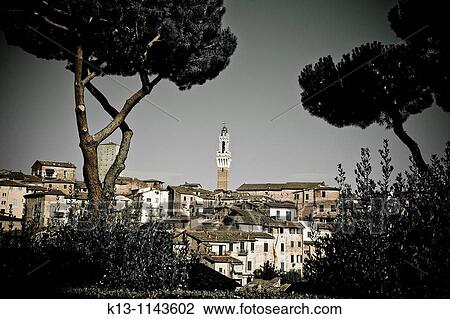 Siena view Tuscany Italy View Large Photo Image Stock Image - Siena view Tuscany Italy. Fotosearch