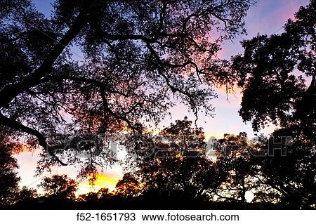 Sierra de Aracena Natural Park, Huelva, Andalucia, Spain, Europe View Large Photo Image Stock Image - Sierra de Aracena Natural Park, Huelva, Andalucia, Spain, Europe. Fotosearch